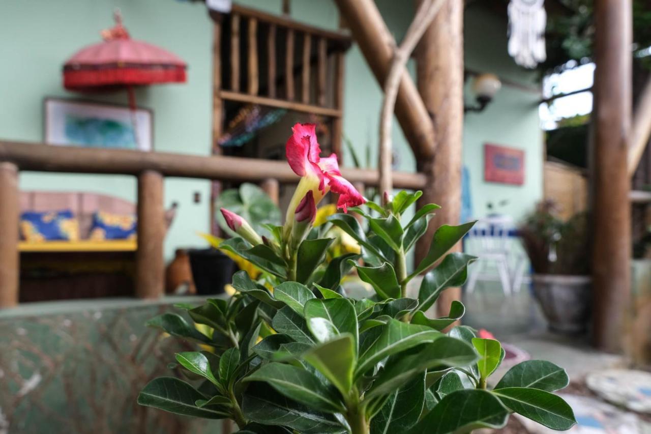 Velinn Pousada Gaia Gardens Araquari Dış mekan fotoğraf